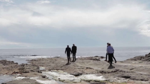 Veja o clipe de "I'm In Love", novidade da banda de indie rock escocesa Teenage Fanclub