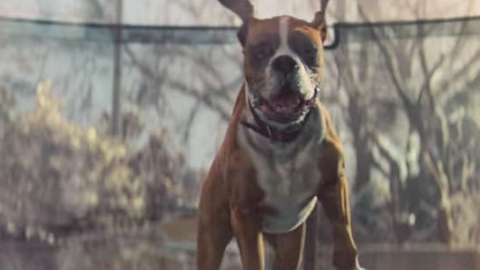 Vaults fazem cover de hit de Randy Crawford no emotivo comercial de natal da John Lewis. Veja!