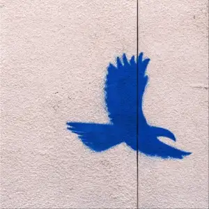 The Wall