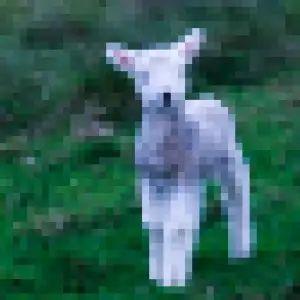 lamb (feat. Kellin Quinn)