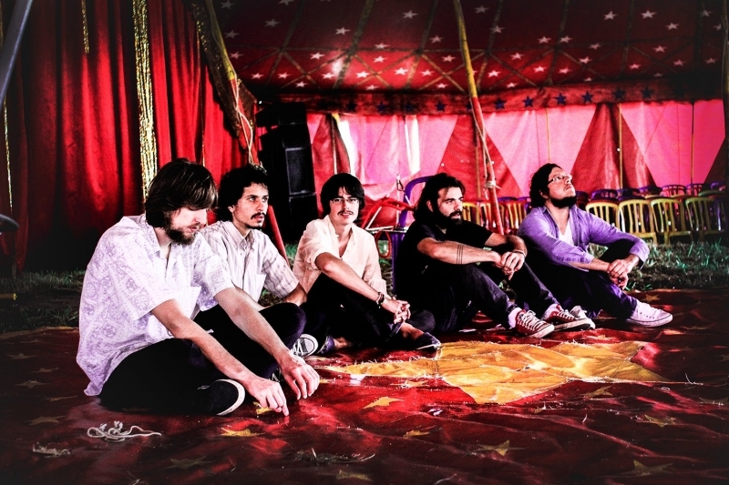 nao-alimente-os-animais - Fotos